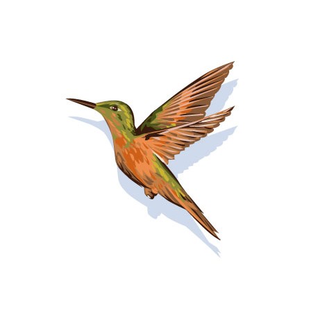 Sticker Colibri