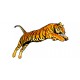 Sticker TIGRE
