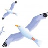 Sticker trois mouettes