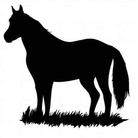 Sticker Cheval 2
