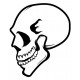 Sticker Skull 1