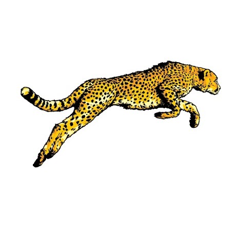 Sticker Guepard