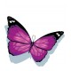 Sticker  Papillon Violet