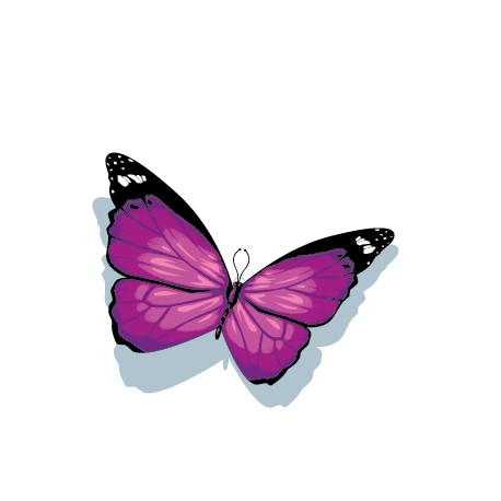Sticker  Papillon Violet