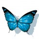 Sticker Papillon Bleu