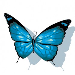 Sticker Papillon Bleu