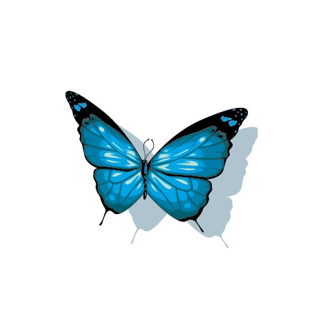 Sticker Papillon Bleu