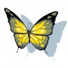 Sticker Papillon Jaune