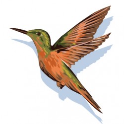 Sticker Colibri