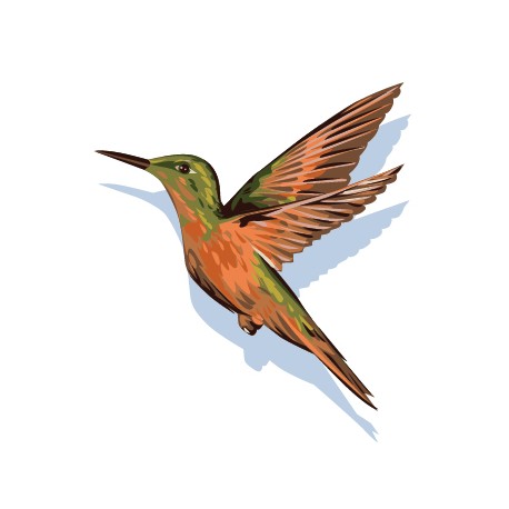 Sticker Colibri