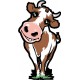 Sticker Vache Caline
