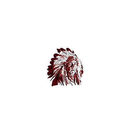 Sticker Indian Chief