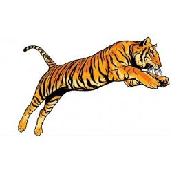 Sticker TIGRE