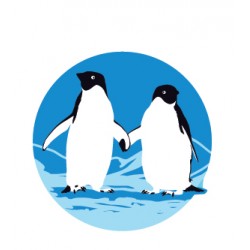 Sticker Pinguoin