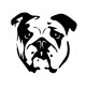 Sticker Bulldog